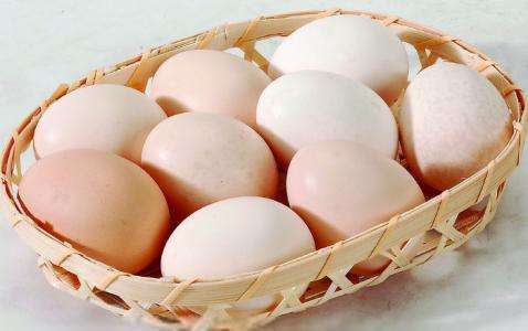 蛋价突破6元/斤，一只蛋鸡可赚80元！